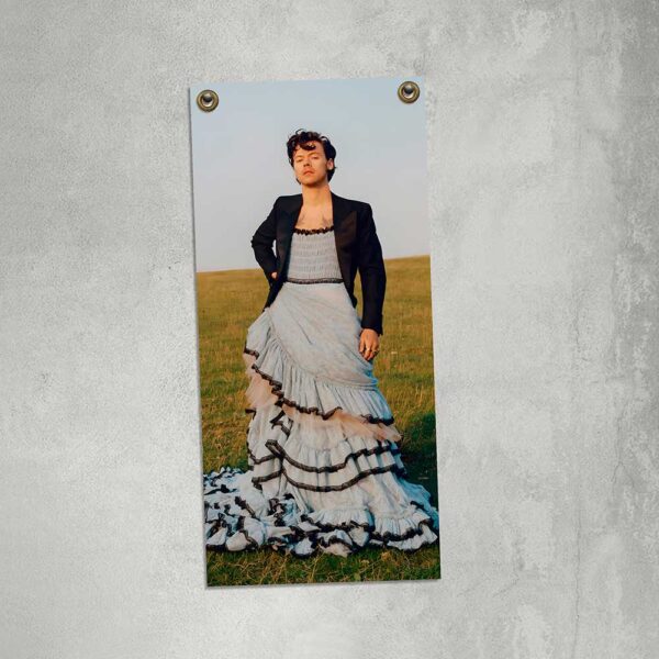 carteles y chapas decorativas de harry styles