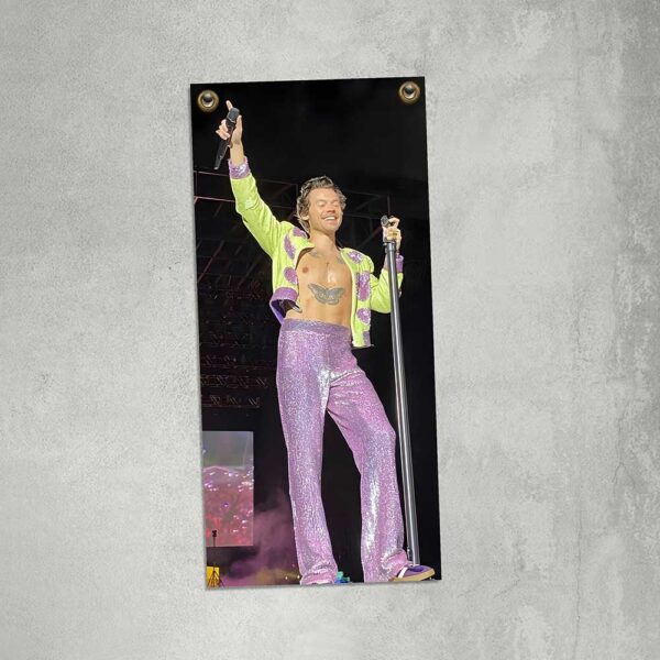 carteles y chapas decorativas de harry styles