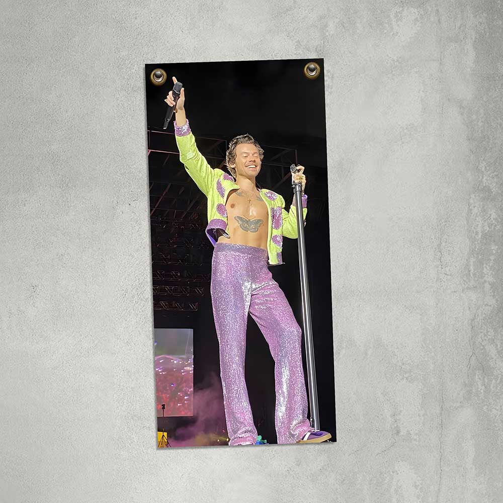 carteles y chapas decorativas de harry styles carteles y chapas decorativas de harry styles