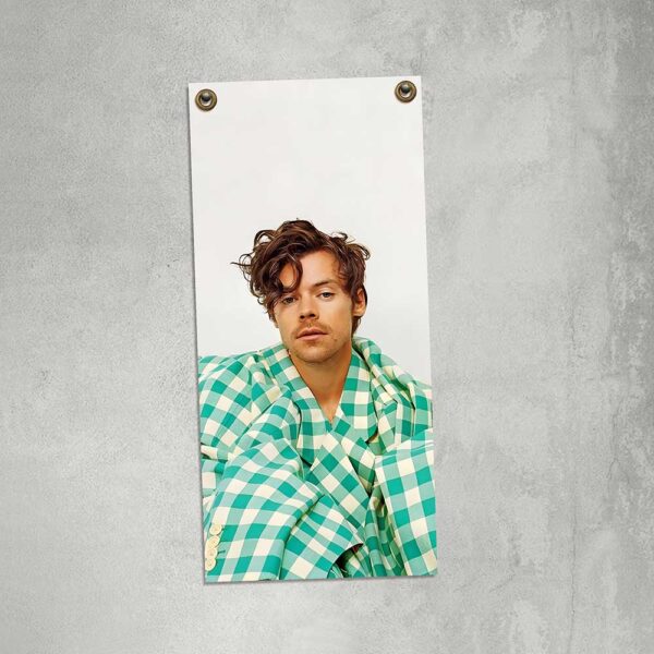 carteles y chapas decorativas de harry styles