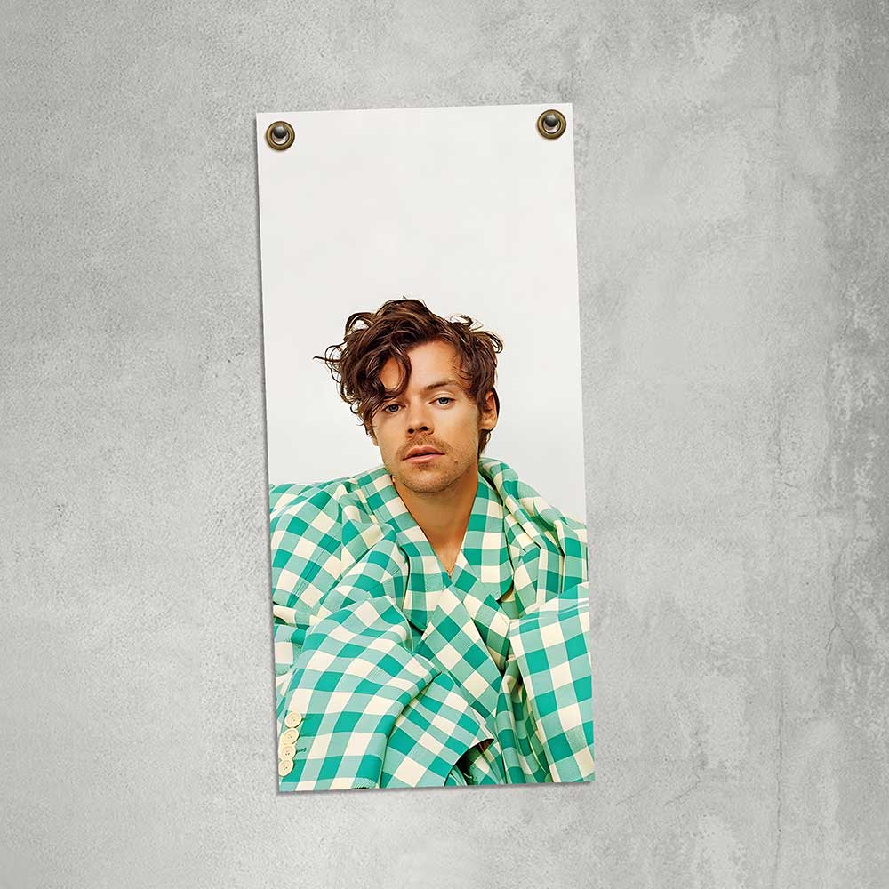 carteles y chapas decorativas de harry styles carteles y chapas decorativas de harry styles